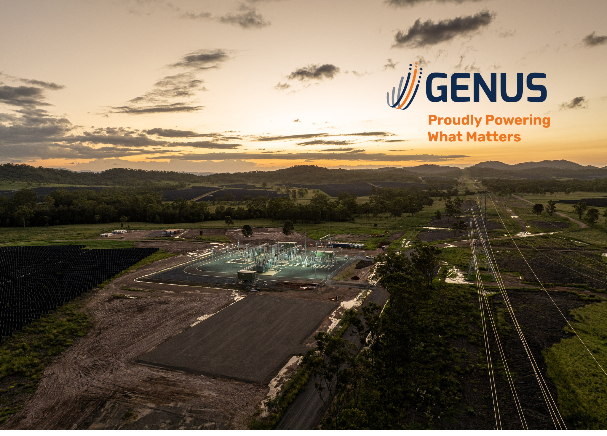 Genus picture